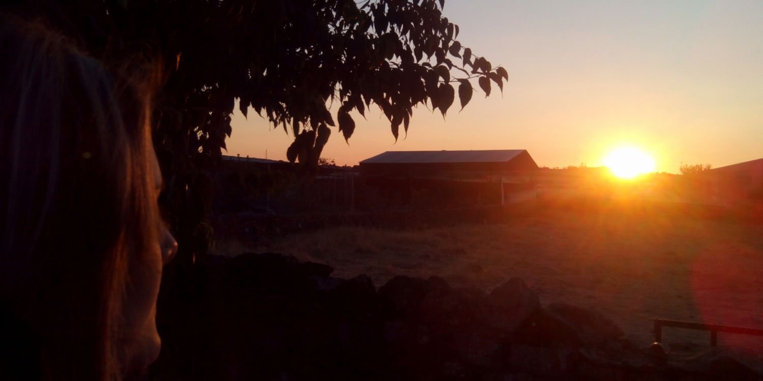 Laurika37's profile banner image
