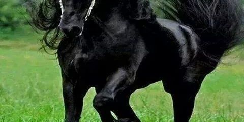 omarseev1's profile banner image