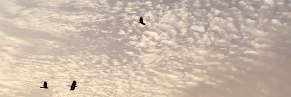 sonalbhutra Profile Banner