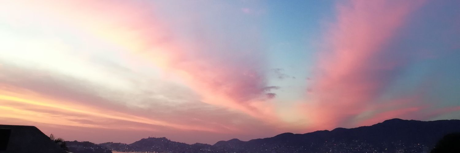 lavanessag's profile banner image