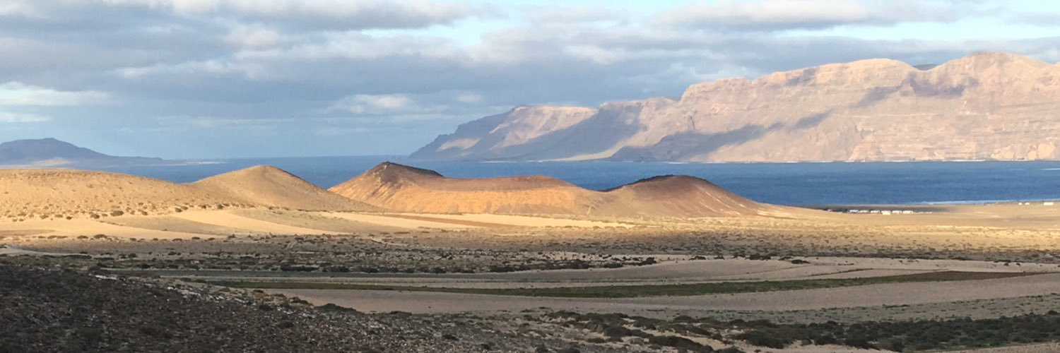 anitaralbo's profile banner image
