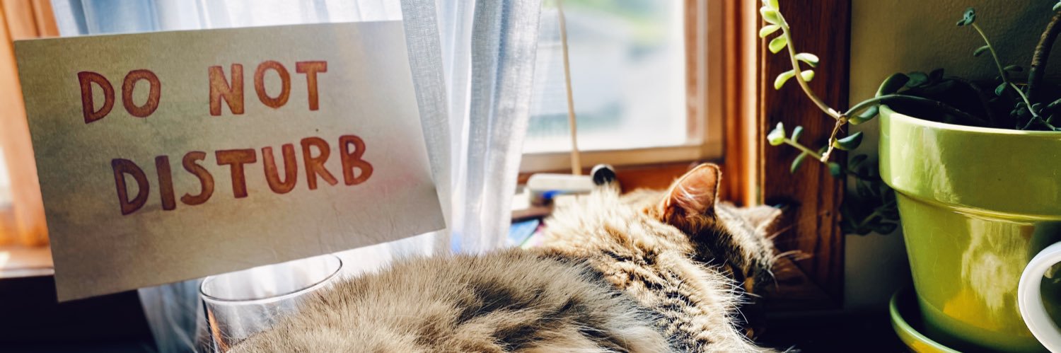 Gucci01Tayler's profile banner image