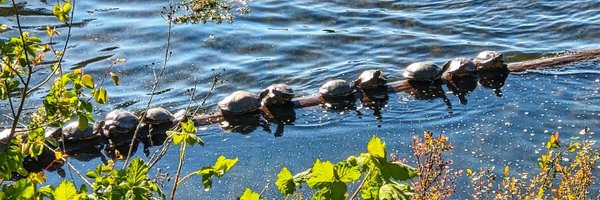 rawsomevegan Profile Banner