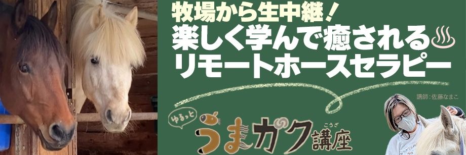 なまこ。🐴🩶馬と暮らしたい一般GLAY banner