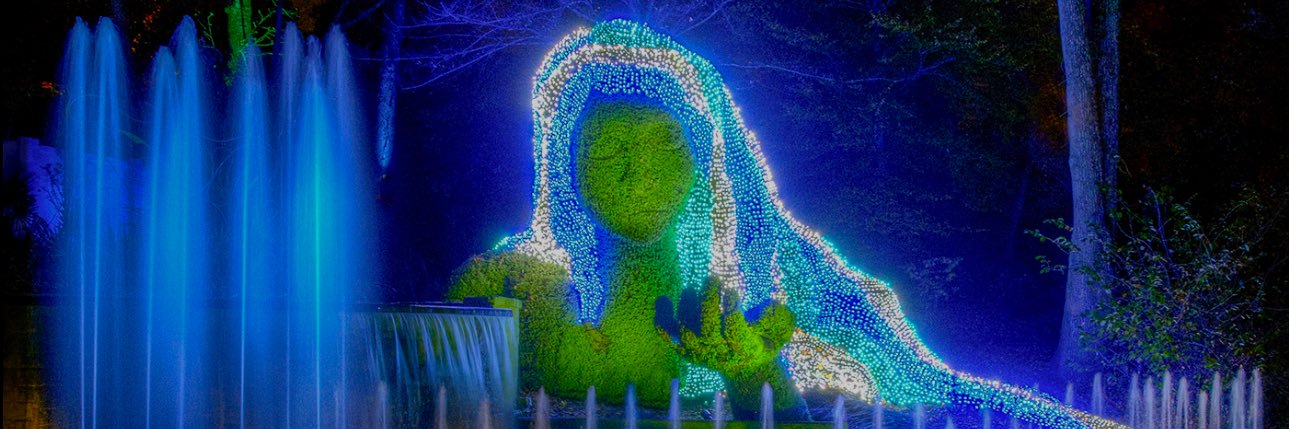 ljbailey44's profile banner image