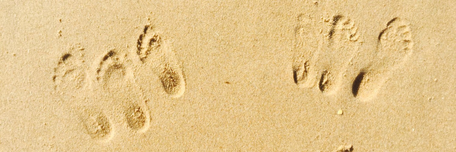 Melita Irving banner