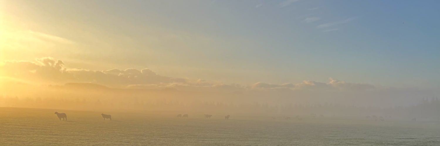 Beth ✨ banner