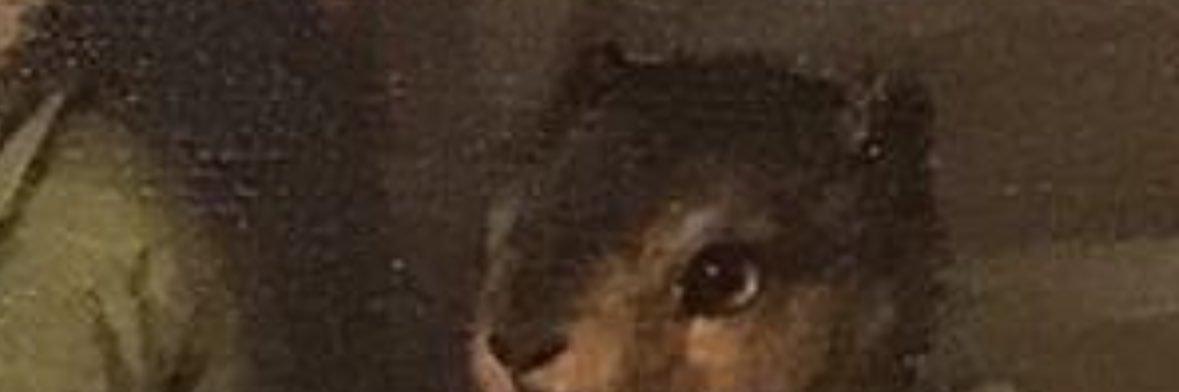 LilRumAndCoke's profile banner image