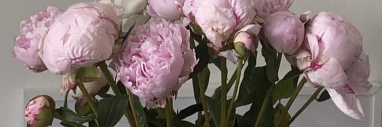 dileekduran's profile banner image