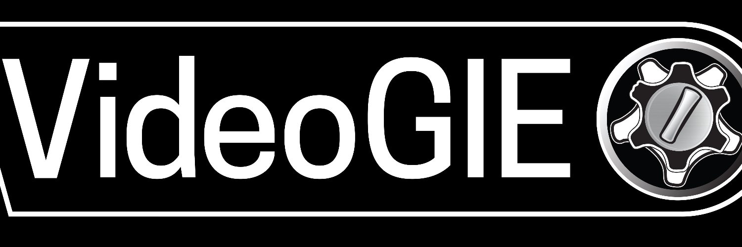 VideoGIE Journal banner