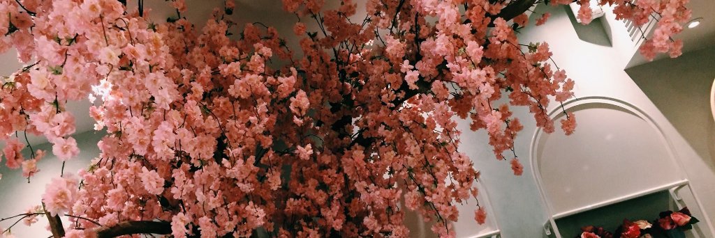livpatton's profile banner image