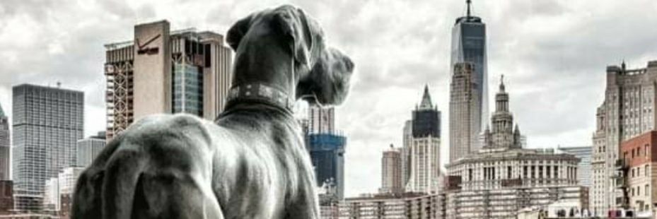 trisha_markov's profile banner image