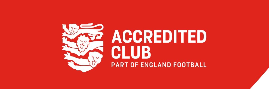 Project 10 FC banner