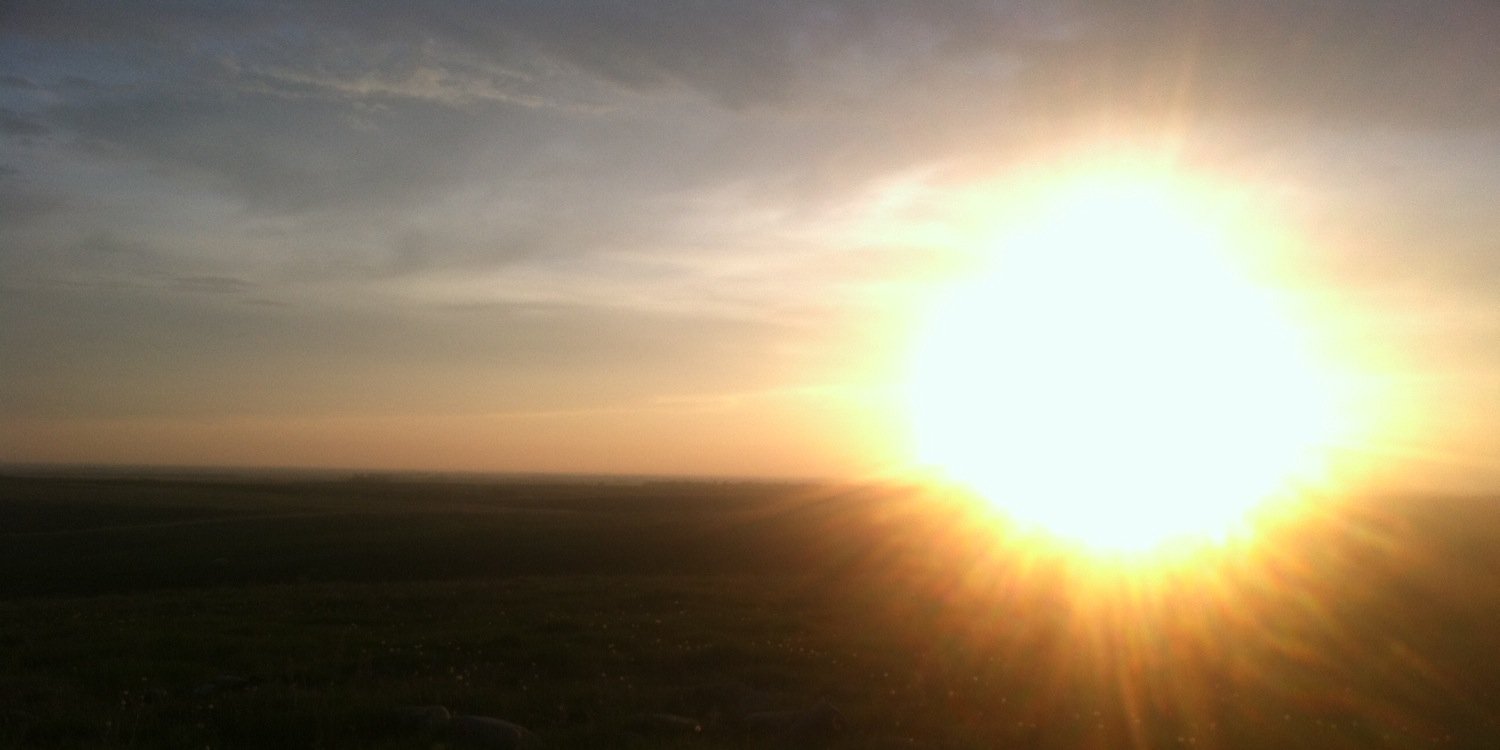 shelbysumner67's profile banner image