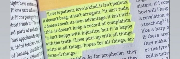 Cameron Sealey-Flachofsky banner