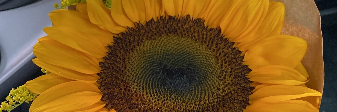 ColmanGaby's profile banner image