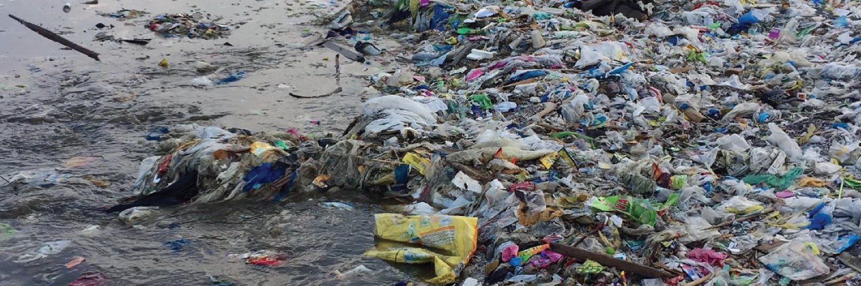 Plastic Pollutes's banner