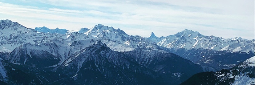 Dominique Wirz banner