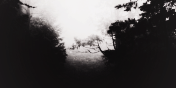 sampchilensis's profile banner image
