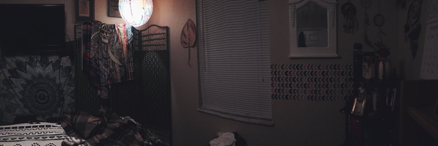 basedbri_'s profile banner image