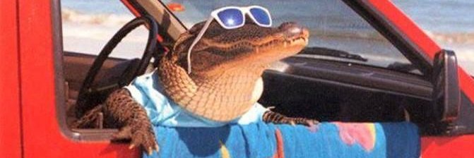 darkydile's profile banner image