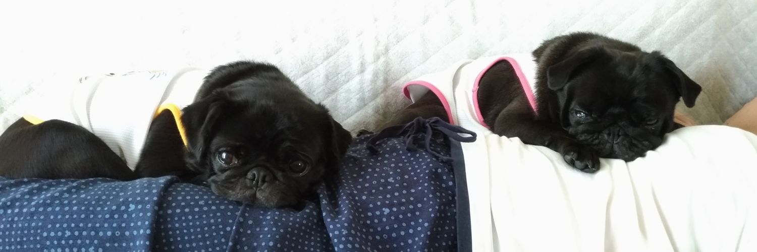 svtalc's profile banner image