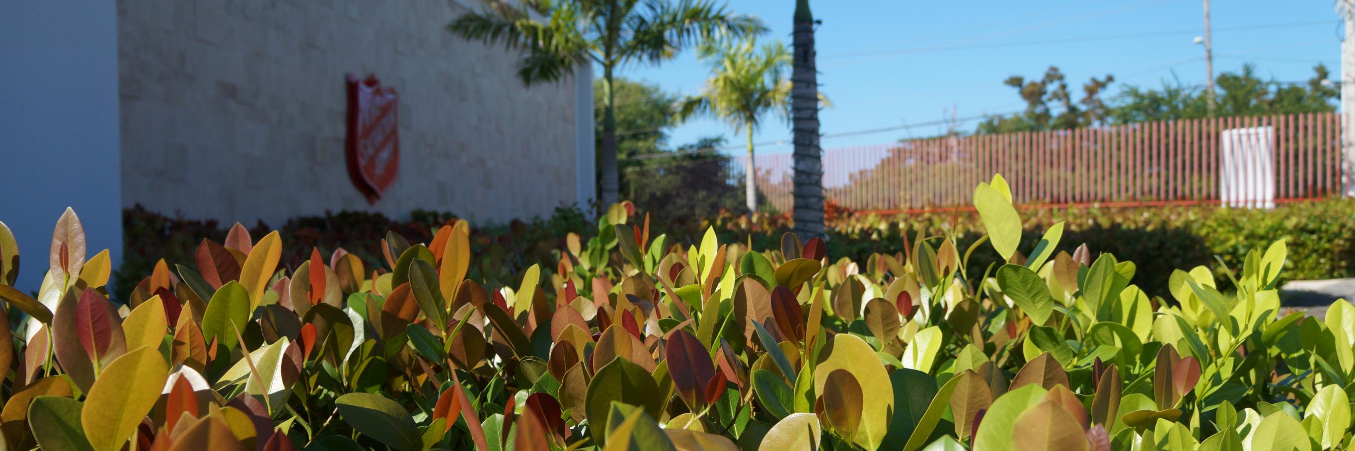 KrocGuayama's profile banner image