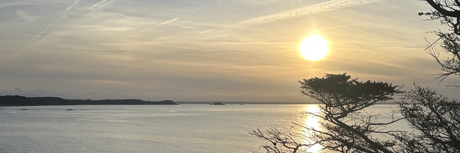 LGuervenou's profile banner image