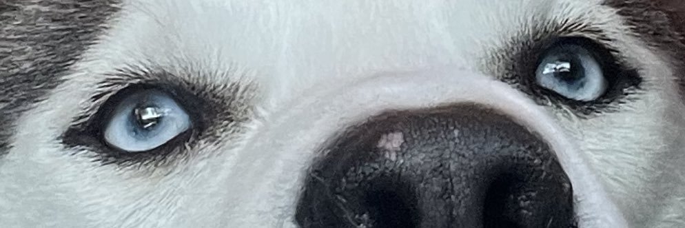 Azzyrosee's profile banner image