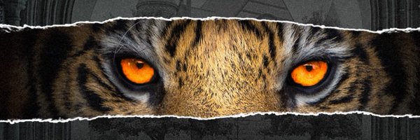 CoachRosenbaum Profile Banner