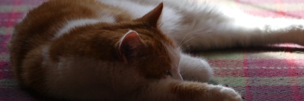 JulesItsjules Profile Banner