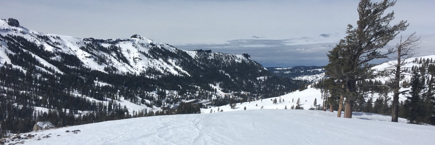 PickledGator banner