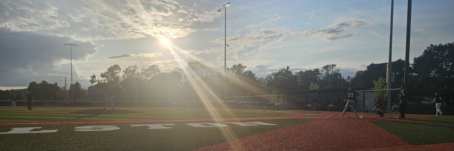 Redbirds Culture banner