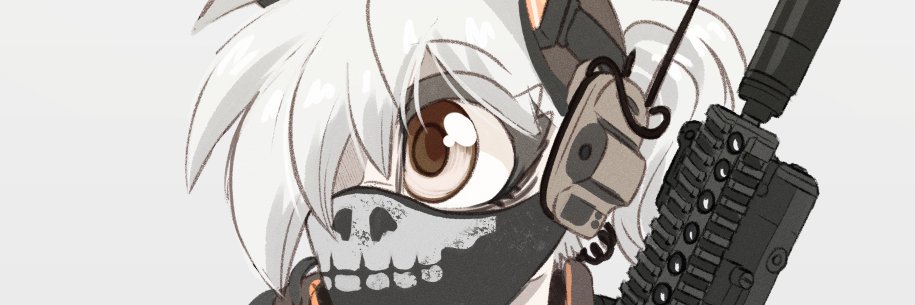 NC banner