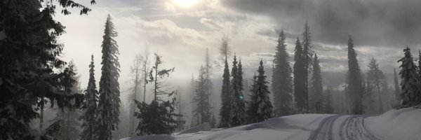 mskoehle Profile Banner