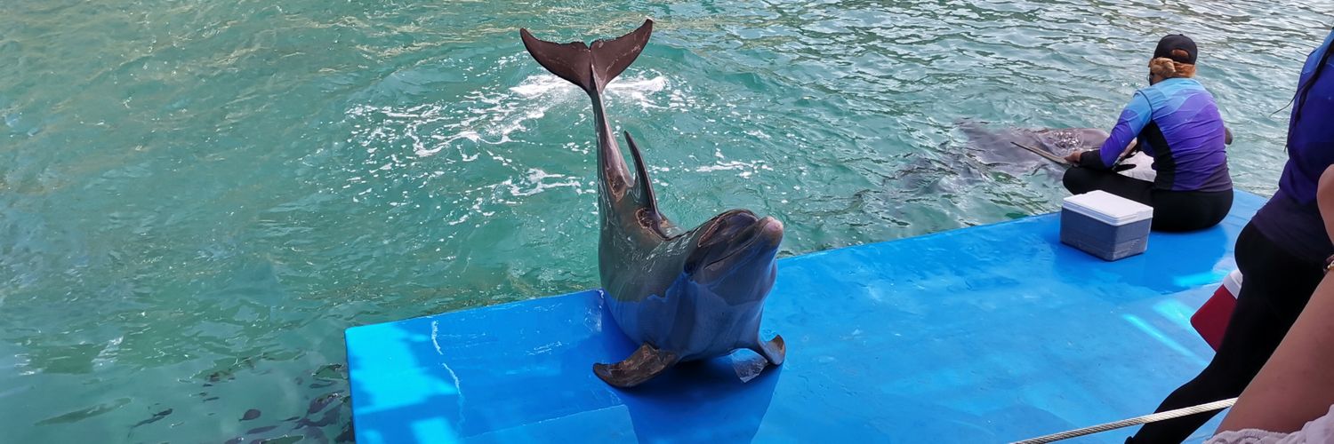 Ƈå®ø ßtë banner