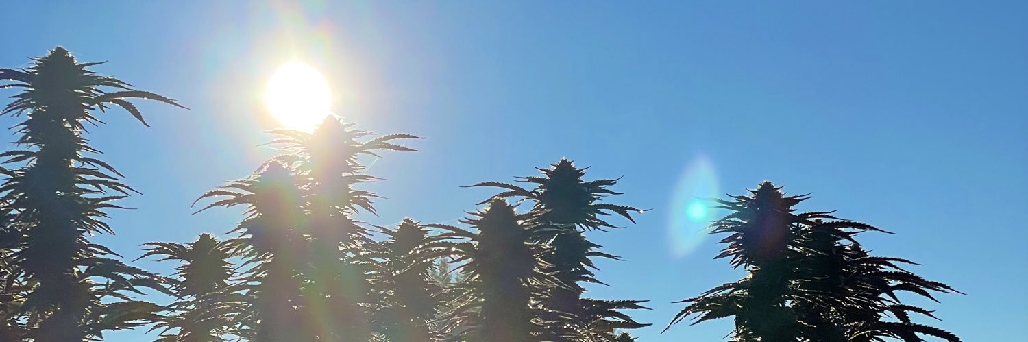 EthanJamesGary2's profile banner image