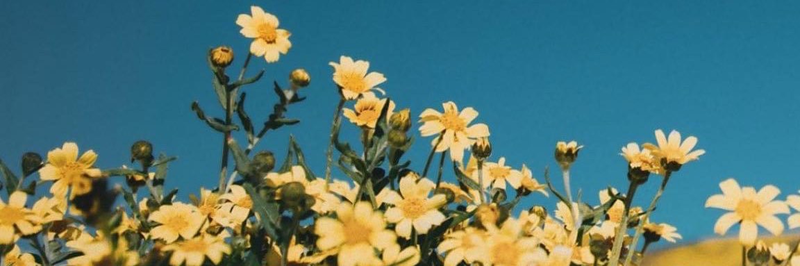 abbeybell_23's profile banner image