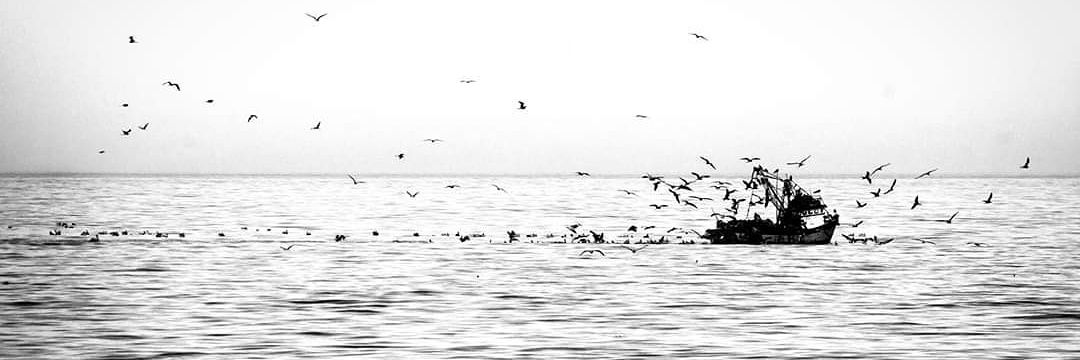 jorge_rivas's profile banner image