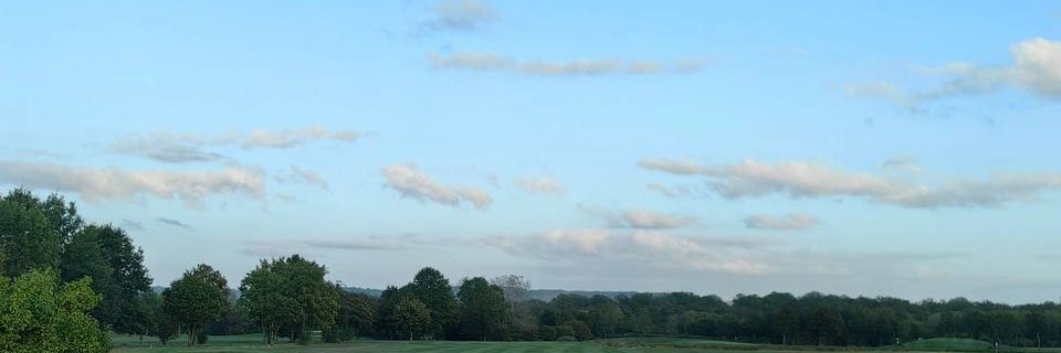 Rolanda banner