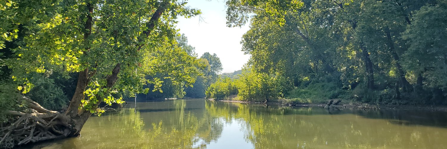 Megan Cavanaugh Pettyjohn banner