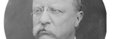 teddytwothinks's profile banner image