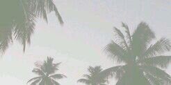zactomlison_'s profile banner image