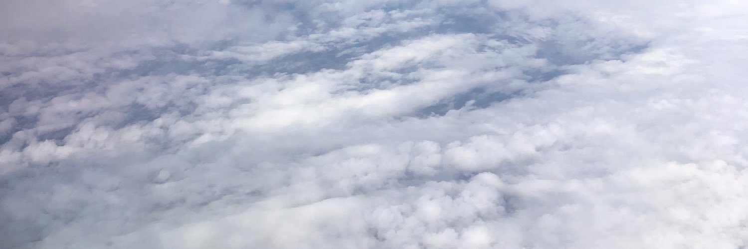 Gabriel Willian banner