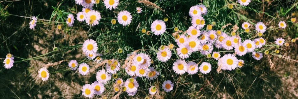 KassidyMalcolm's profile banner image