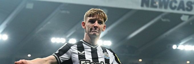 Shieber ◼️◻️ banner