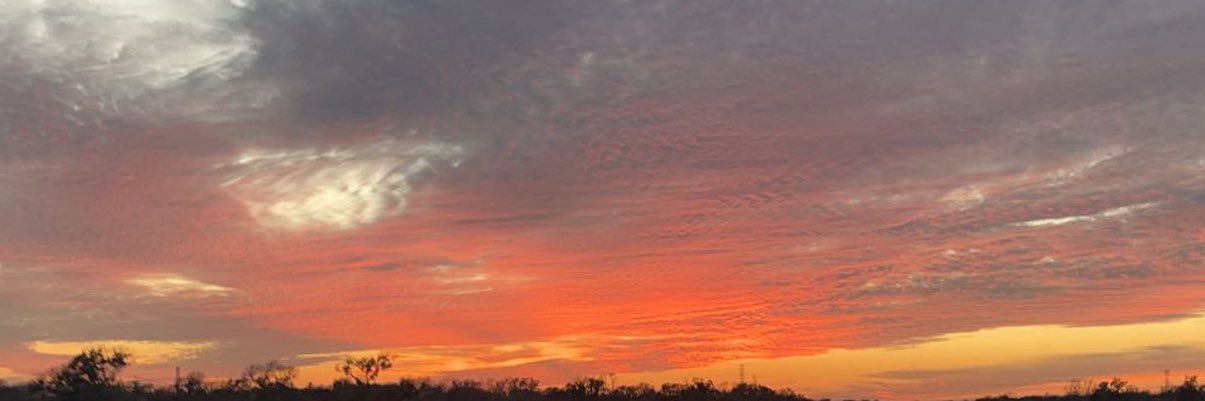 jrenee_09's profile banner image