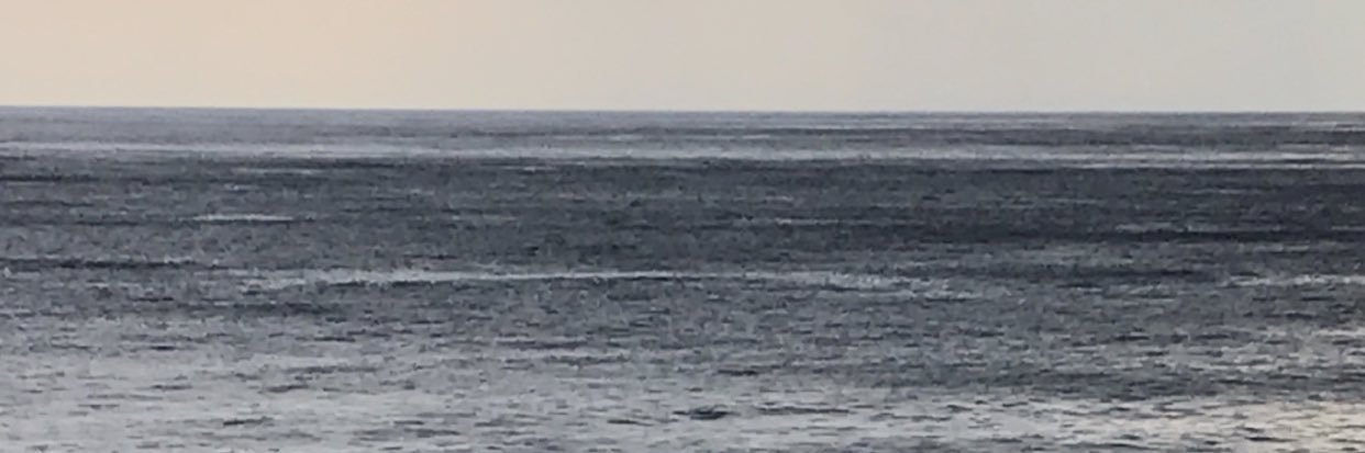 smarko70's profile banner image