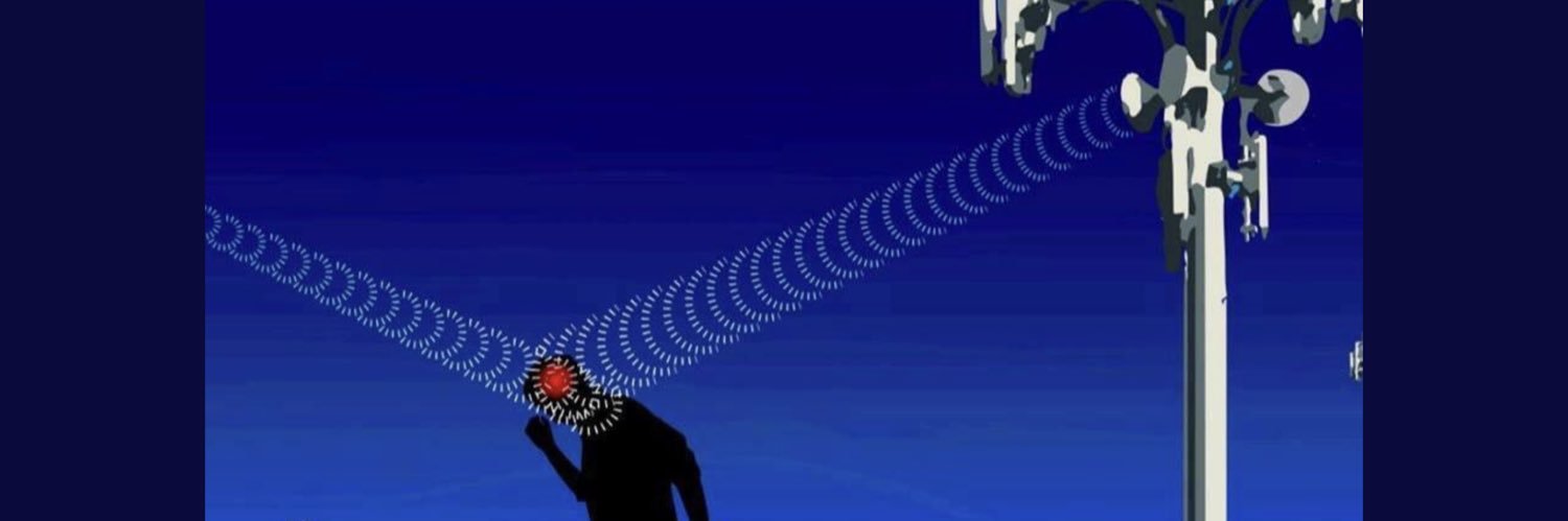 uclamotte's profile banner image