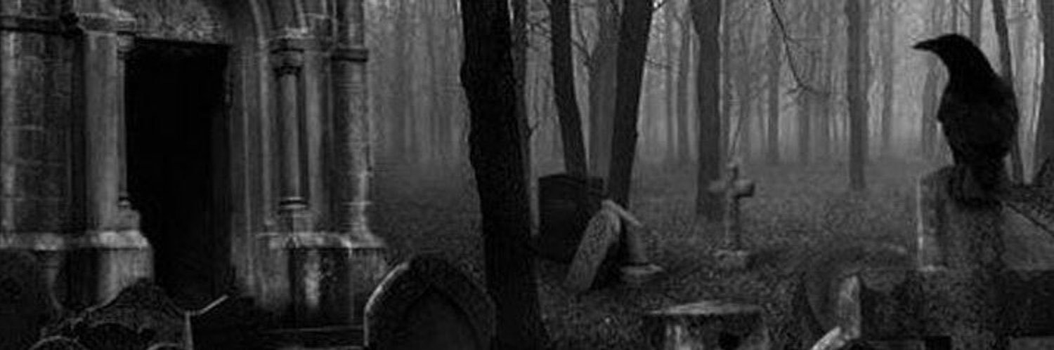 wwednesdayirl's profile banner image